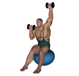 Dumbbell Press - Fitness Ball Rotation Alternate